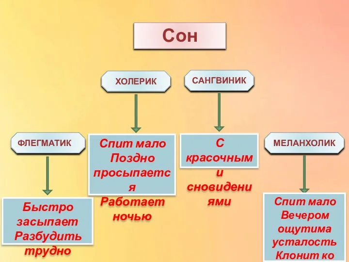 ХОЛЕРИК Сон Быстро засыпает Разбудить трудно ФЛЕГМАТИК САНГВИНИК МЕЛАНХОЛИК Спит мало