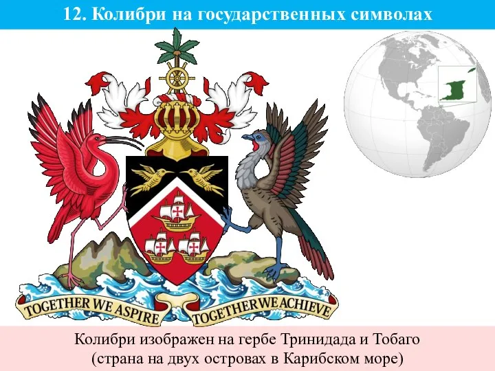 12. Колибри на государственных символах Колибри изображен на гербе Тринидада и