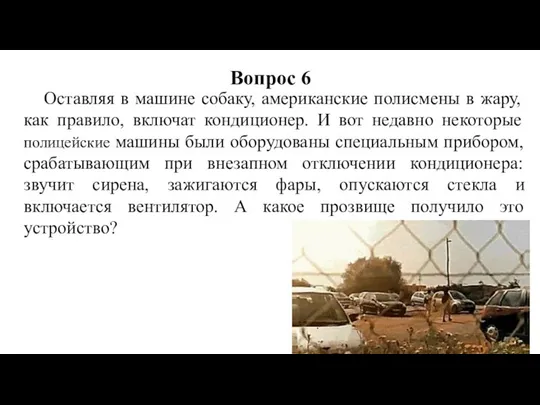 Оставляя в машине собаку, американские полисмены в жару, как правило, включат