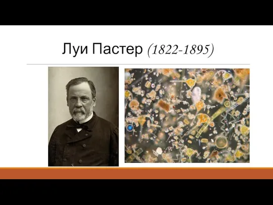 Луи Пастер (1822-1895)