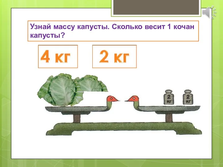 Узнай массу капусты. Сколько весит 1 кочан капусты?