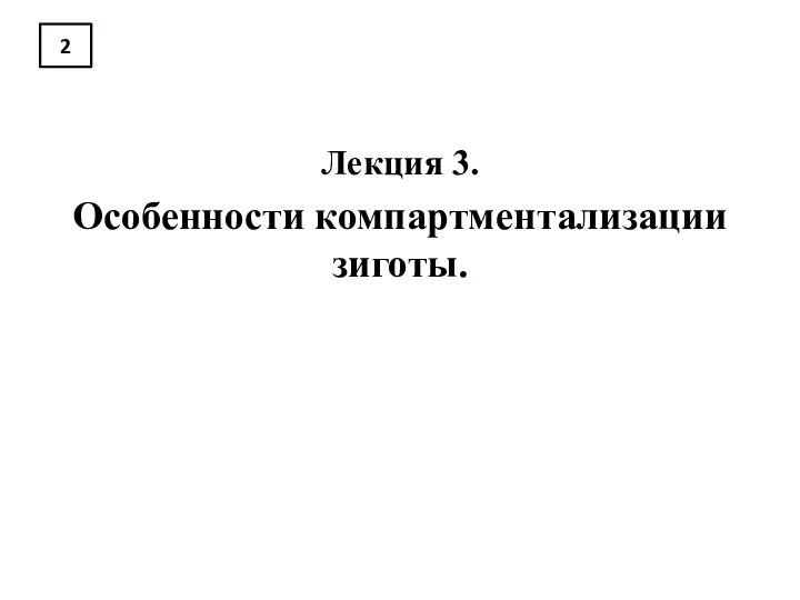 2 Лекция 3. Особенности компартментализации зиготы.