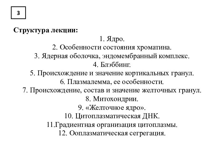 3 Структура лекции: 1. Ядро. 2. Особенности состояния хроматина. 3. Ядерная