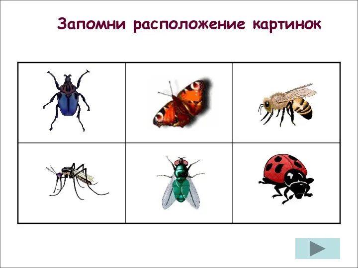 Запомни расположение картинок Запомни расположение картинок