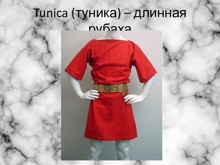 Tunica (туника) – длинная рубаха