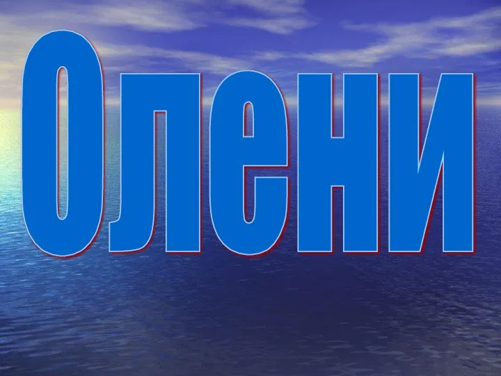 Олени