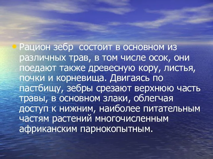 Рацион зебр состоит в основном из различных трав, в том числе