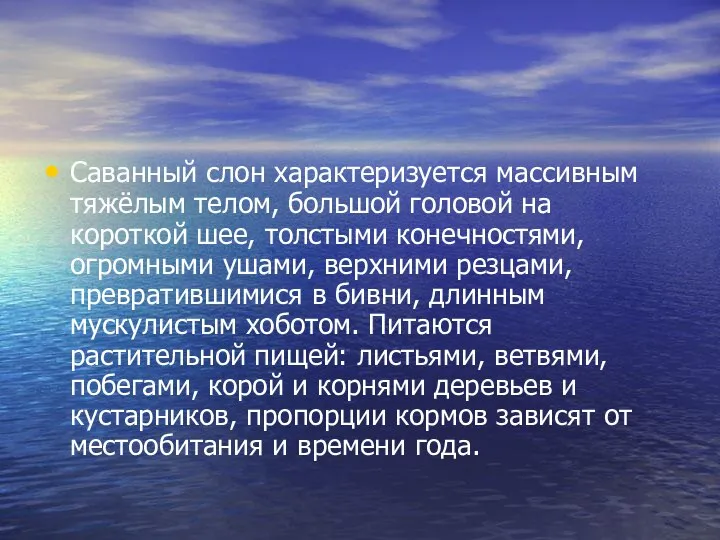 Саванный слон характеризуется массивным тяжёлым телом, большой головой на короткой шее,