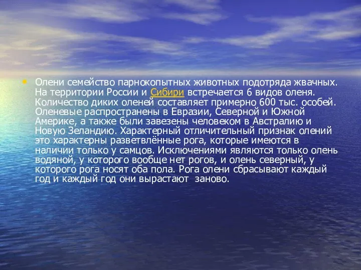 Олени семейство парнокопытных животных подотряда жвачных. На территории России и Сибири