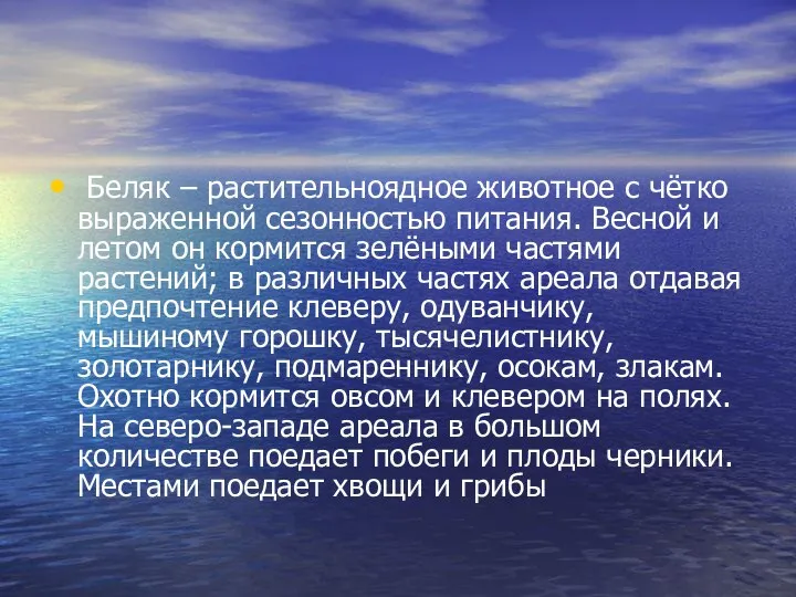 Беляк – растительноядное животное с чётко выраженной сезонностью питания. Весной и