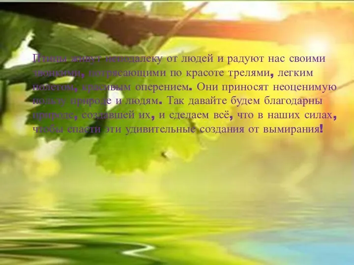 Птицы живут неподалеку от людей и радуют нас своими звонкими, потрясающими