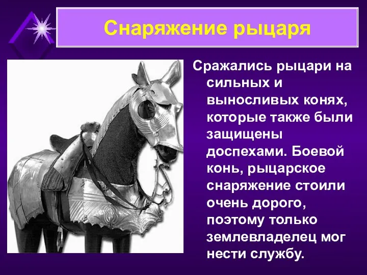 Сражались рыцари на сильных и выносливых конях, которые также были защищены