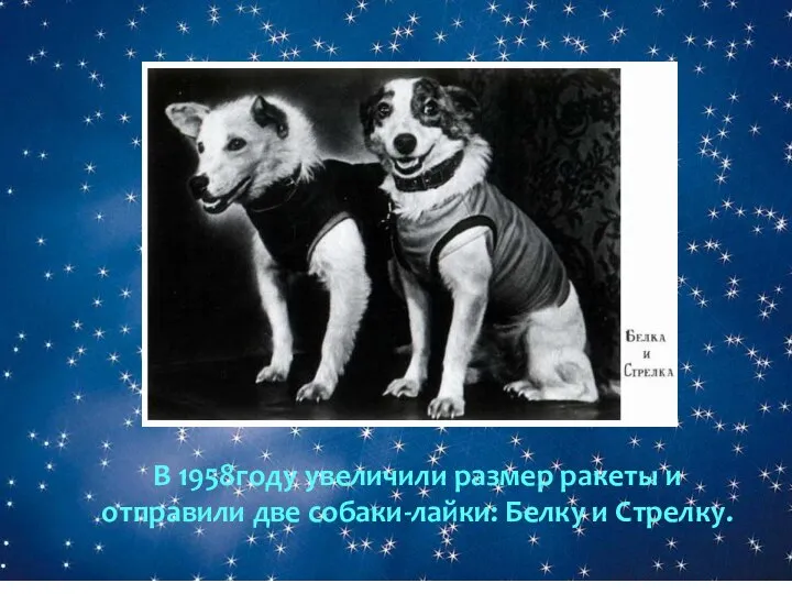 В 1958году увеличили размер ракеты и отправили две собаки-лайки: Белку и Стрелку.