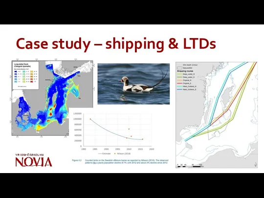 Case study – shipping & LTDs
