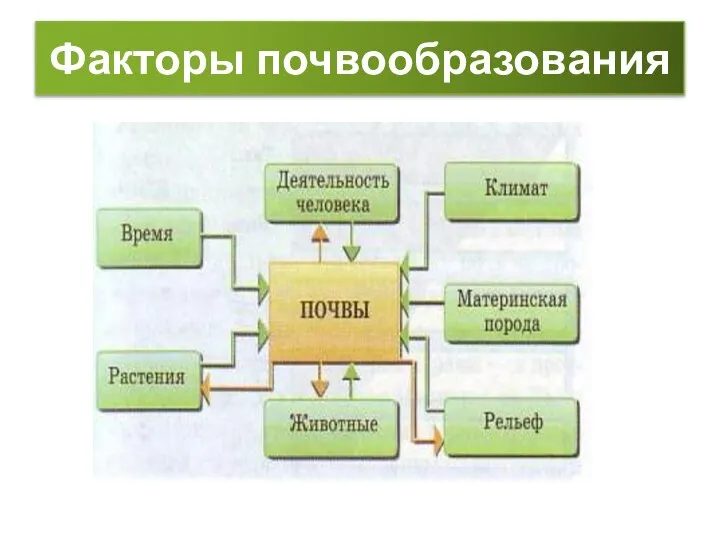 Факторы почвообразования