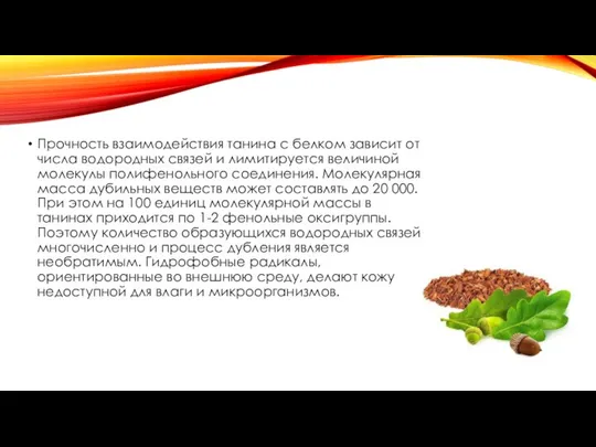 Прочность взаимодействия танина с белком зависит от числа водородных связей и