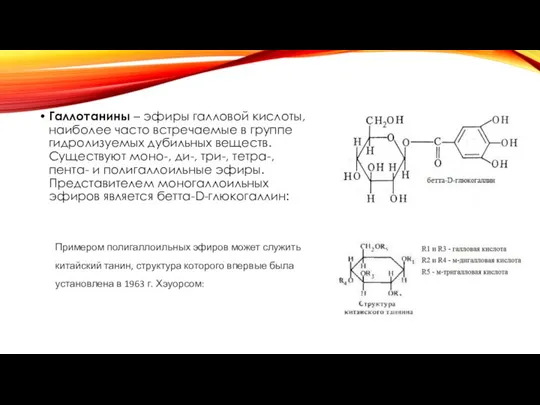 Галлотанины – эфиры галловой кислоты, наиболее часто встречаемые в группе гидролизуемых