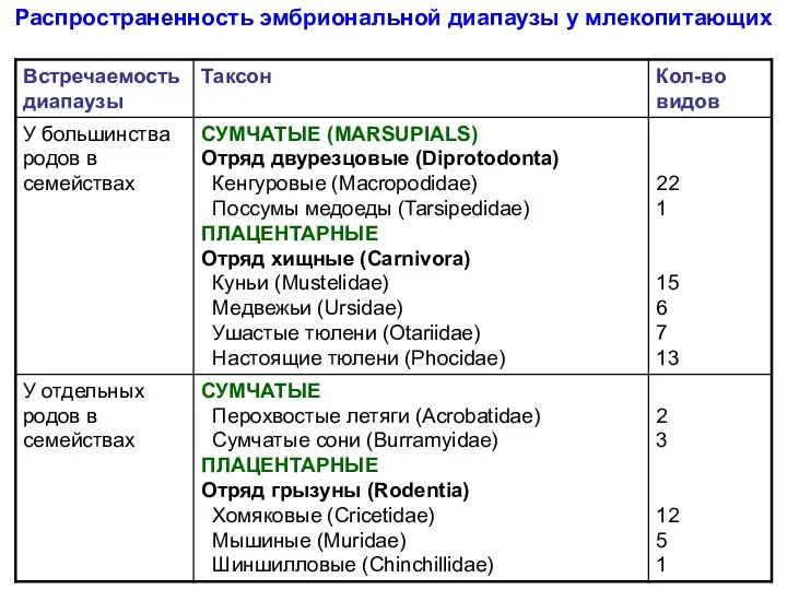 Распространенность эмбриональной диапаузы у млекопитающих