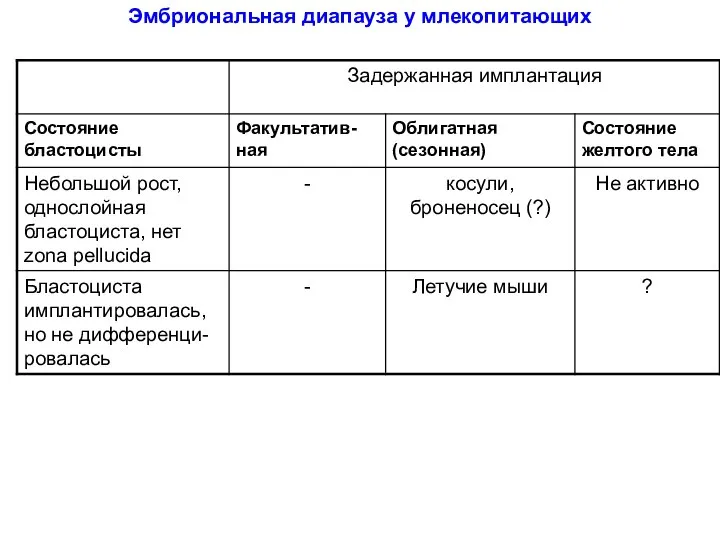 Эмбриональная диапауза у млекопитающих