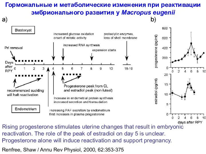 Renfree, Shaw / Annu Rev Physiol, 2000, 62:353-375 Гормональные и метаболические