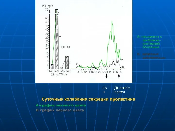 Суточные колебания секреции пролактина А-график зеленого цвета В-график черного цвета