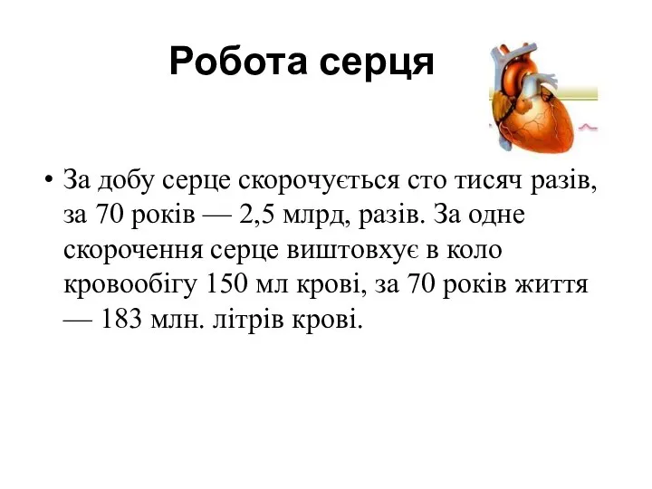 Робота серця За добу серце скорочується сто тисяч разів, за 70