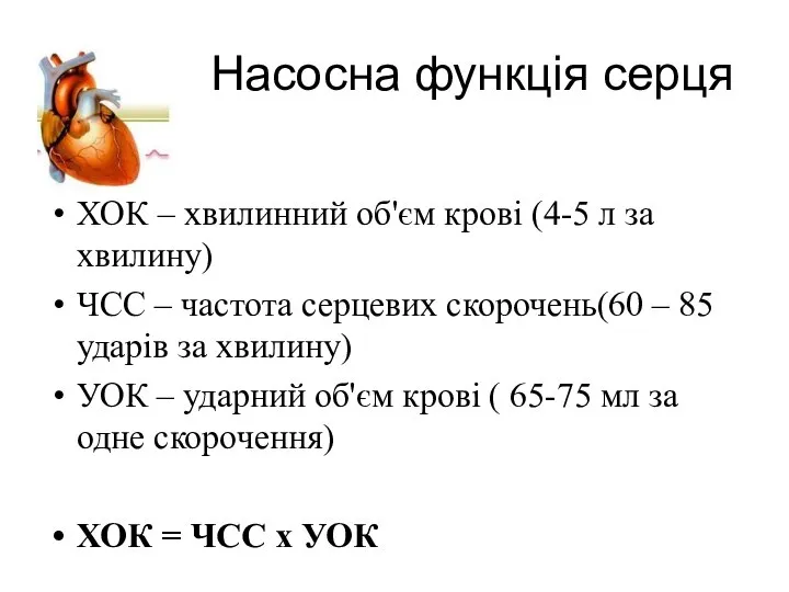 Насосна функція серця ХОК – хвилинний об'єм крові (4-5 л за