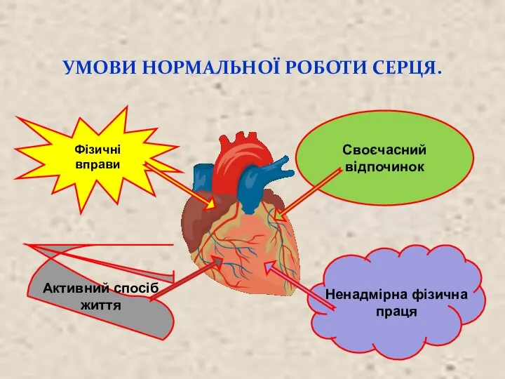 УМОВИ НОРМАЛЬНОЇ РОБОТИ СЕРЦЯ. Фізичні вправи Своєчасний відпочинок Активний спосіб життя Ненадмірна фізична праця