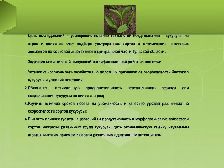 Цель исследований – усовершенствование технологии возделывания кукурузы на зерно и силос