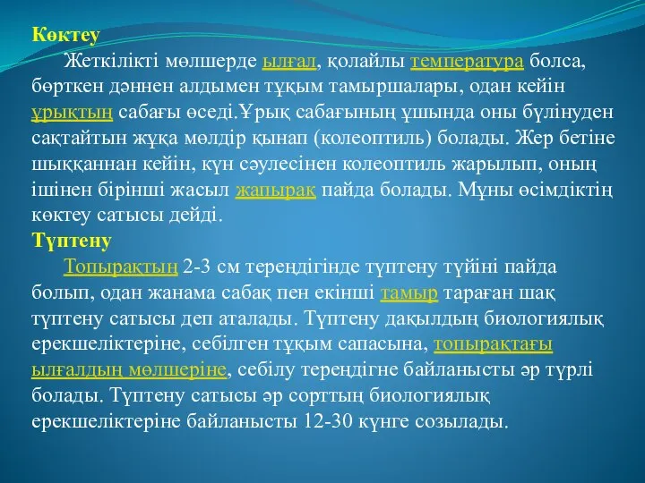 Көктеу Жеткілікті мөлшерде ылғал, қолайлы температура болса, бөрткен дәннен алдымен тұқым