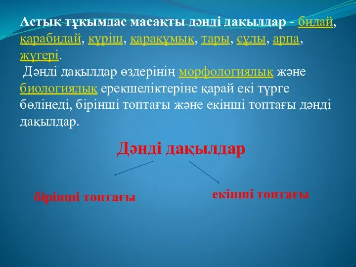 Астық тұқымдас масақты дәнді дақылдар - бидай, қарабидай, күріш, қарақұмық, тары,