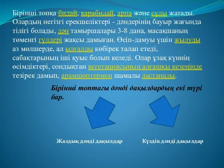 Бірінші топқа бидай, қарабидай, арпа және сұлы жатады. Олардың негізгі ерекшеліктері