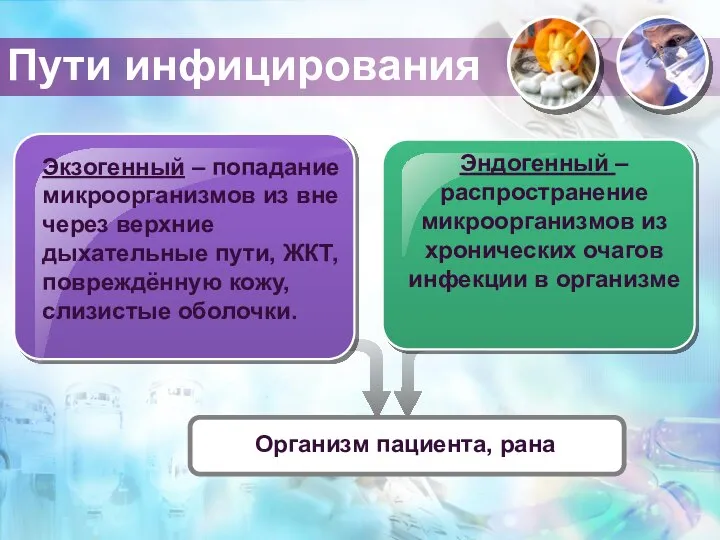 Эндогенный –распространение микроорганизмов из хронических очагов инфекции в организме Пути инфицирования