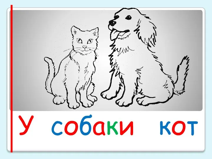 У собаки кот