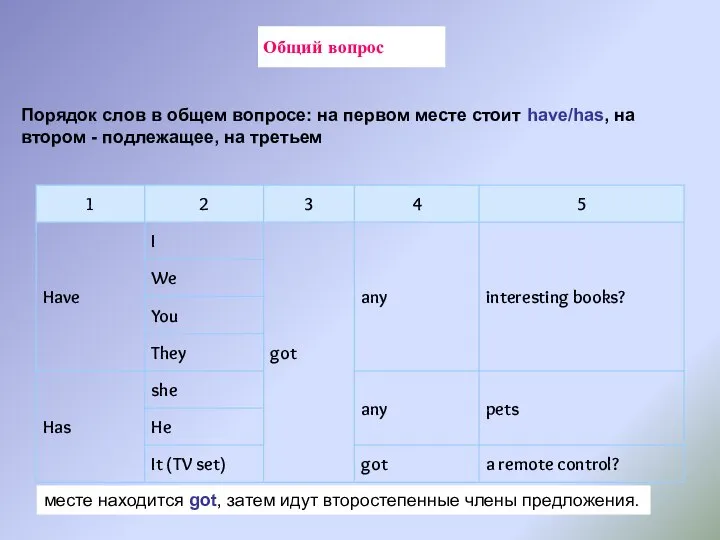 Общий вопрос месте находится got, затем идут второстепенные члены предложения. Порядок