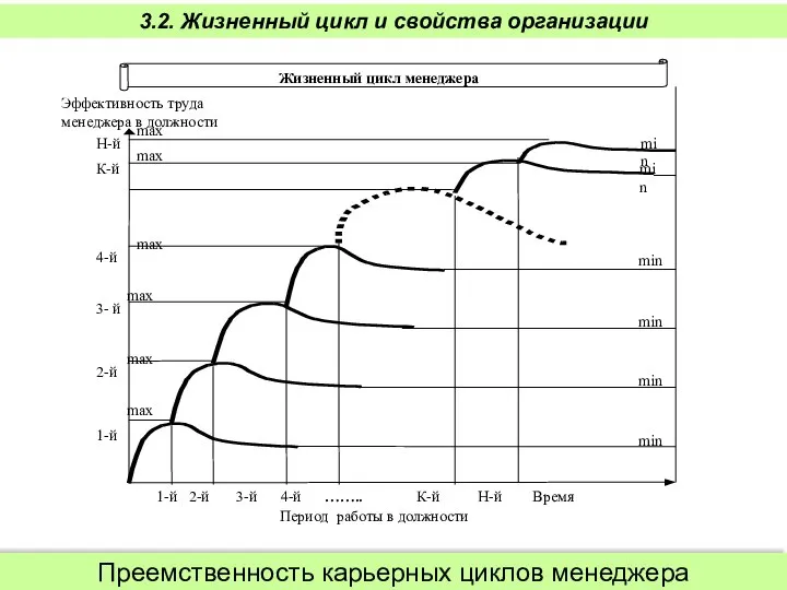 й Преемственность карьерных циклов менеджера 3.2. Жизненный цикл и свойства организации