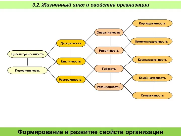 Формирование и развитие свойств организации 3.2. Жизненный цикл и свойства организации