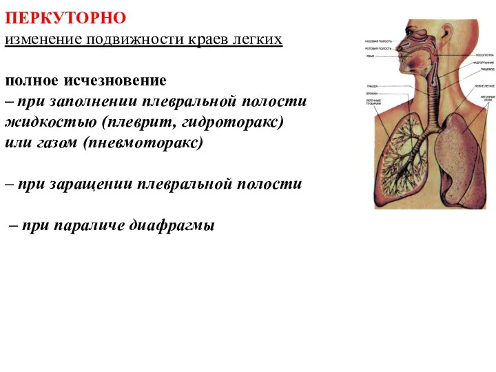 ПЕРКУТОРНО изменение подвижности краев легких полное исчезновение – при заполнении плевральной