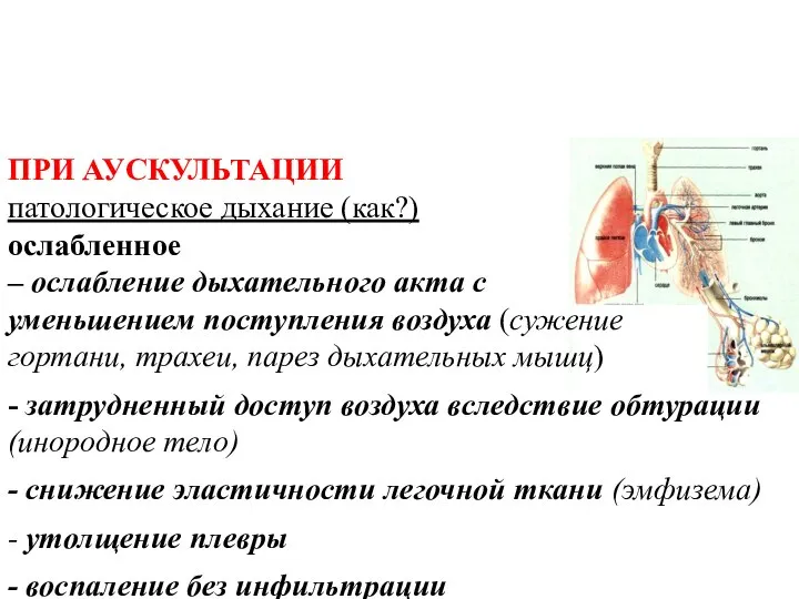 ПРИ АУСКУЛЬТАЦИИ патологическое дыхание (как?) ослабленное – ослабление дыхательного акта с