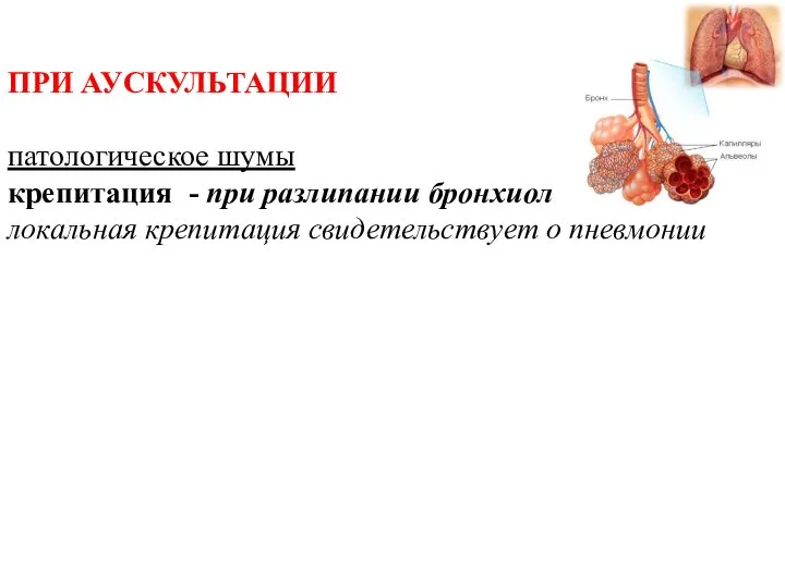 ПРИ АУСКУЛЬТАЦИИ патологическое шумы крепитация - при разлипании бронхиол локальная крепитация свидетельствует о пневмонии