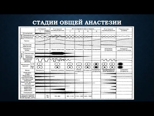 СТАДИИ ОБЩЕЙ АНАСТЕЗИИ