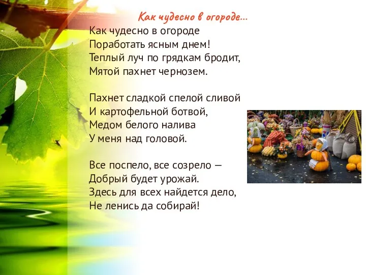 Как чудесно в огороде… Как чудесно в огороде Поработать ясным днем!