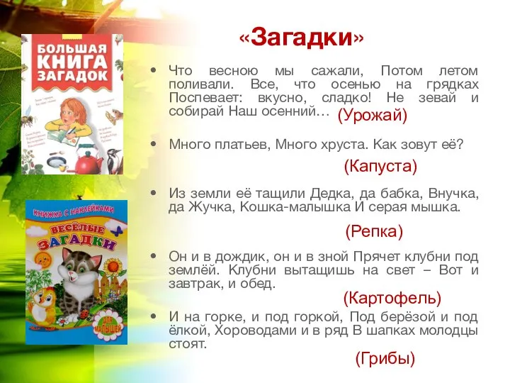 «Загадки» Что весною мы сажали, Потом летом поливали. Все, что осенью