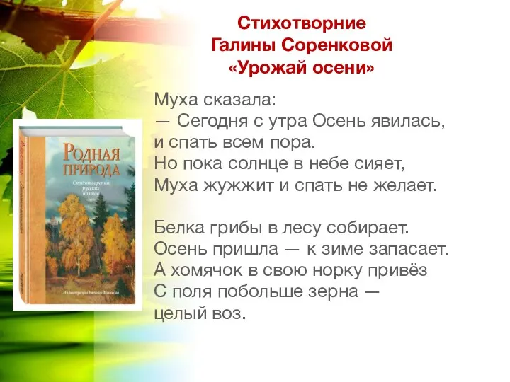 Стихотворние Галины Соренковой «Урожай осени» Муха сказала: — Сегодня с утра