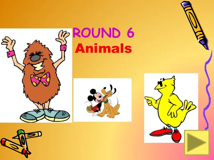 ROUND 6 Animals