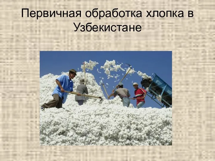 Первичная обработка хлопка в Узбекистане