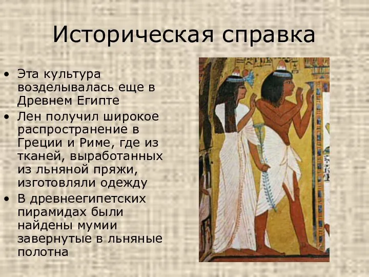 Историческая справка Эта культура возделывалась еще в Древнем Египте Лен получил