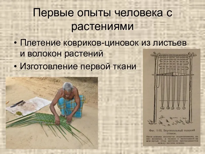 Первые опыты человека с растениями Плетение ковриков-циновок из листьев и волокон растений Изготовление первой ткани