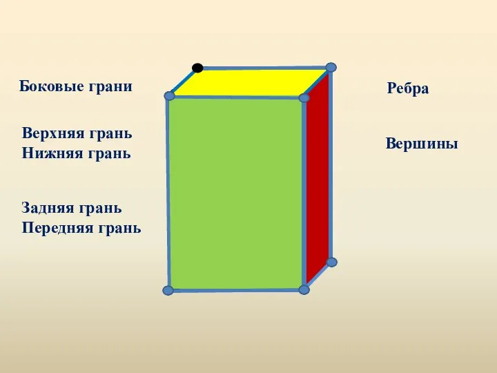 Боковые грани Верхняя грань Нижняя грань Задняя грань Передняя грань Ребра Вершины