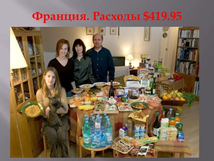 Франция. Расходы $419.95